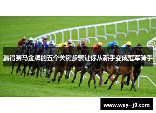 赢得赛马金牌的五个关键步骤让你从新手变成冠军骑手