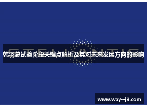 韩羽总试验阶段关键点解析及其对未来发展方向的影响