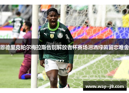 恩德里克帕尔梅拉斯告别解放者杯赛场泪洒绿茵留恋难舍